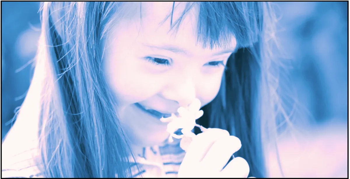 Disability Without Poverty campaign materials.